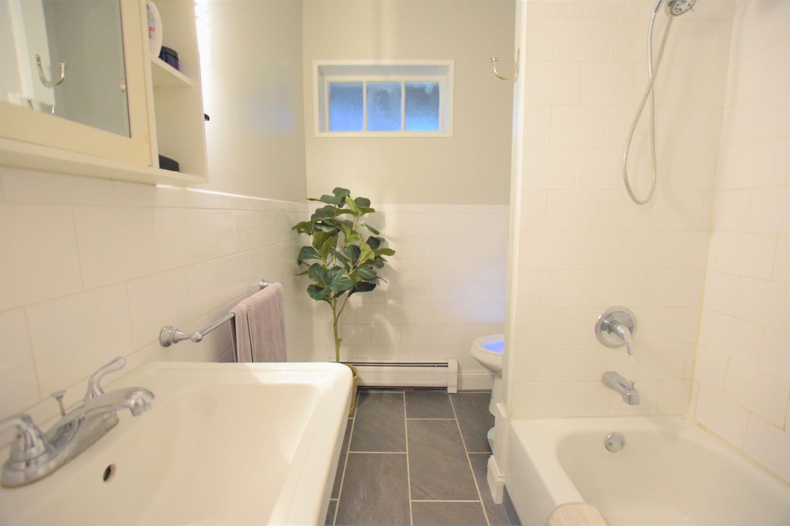 Ithaca Apartment: 609 E State St