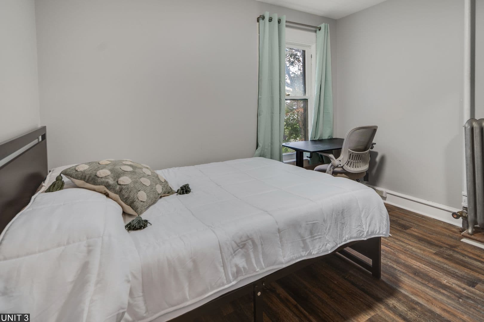 Ithaca Apartment: 109 Williams St