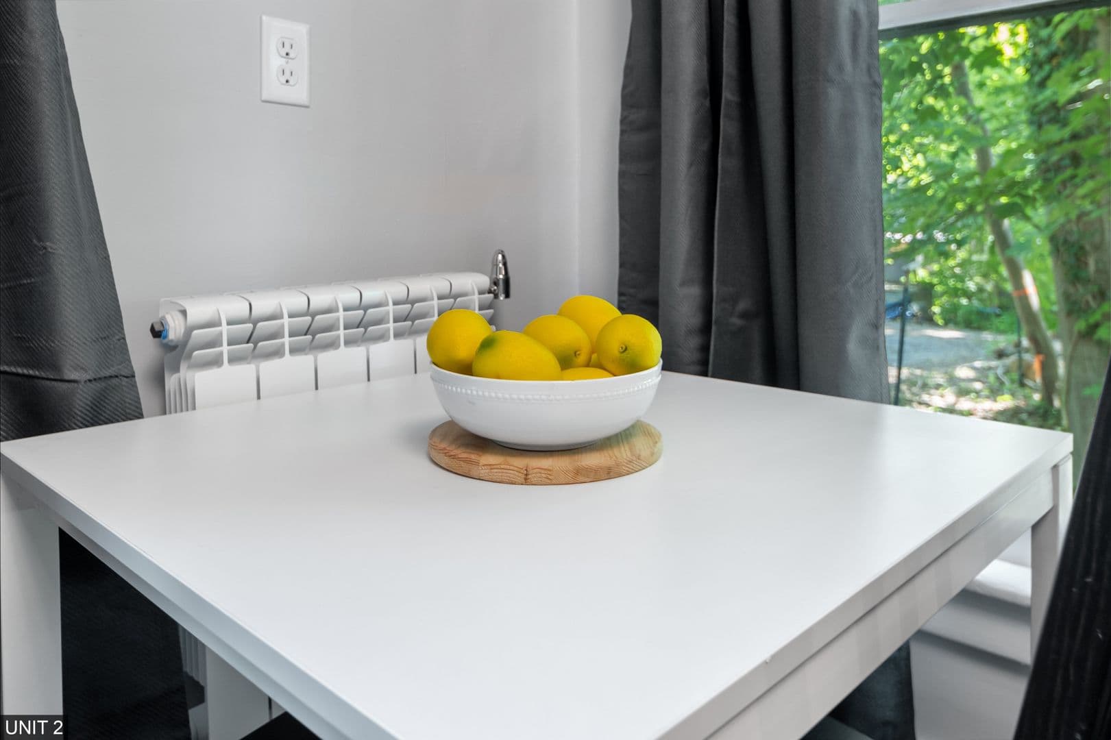 Ithaca Apartment: 109 Williams St
