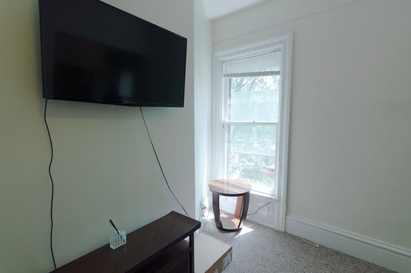 Ithaca Apartment: 232 S Geneva St