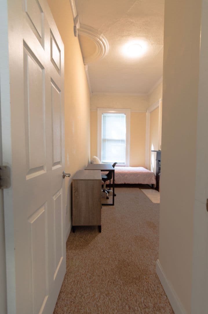 Ithaca Apartment: 232 S Geneva St