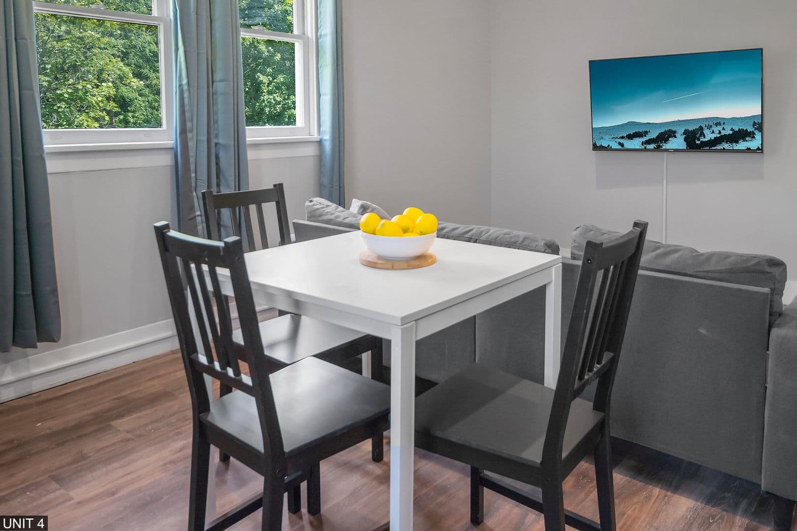 Ithaca Apartment: 109 Williams St