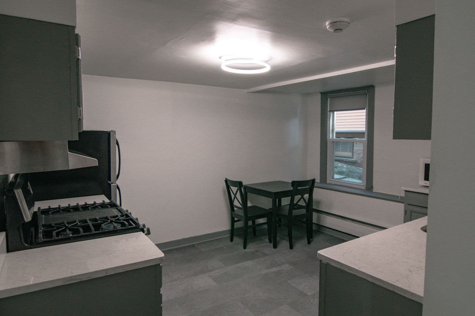 Ithaca Apartment: 110-113 Stewart Ave
