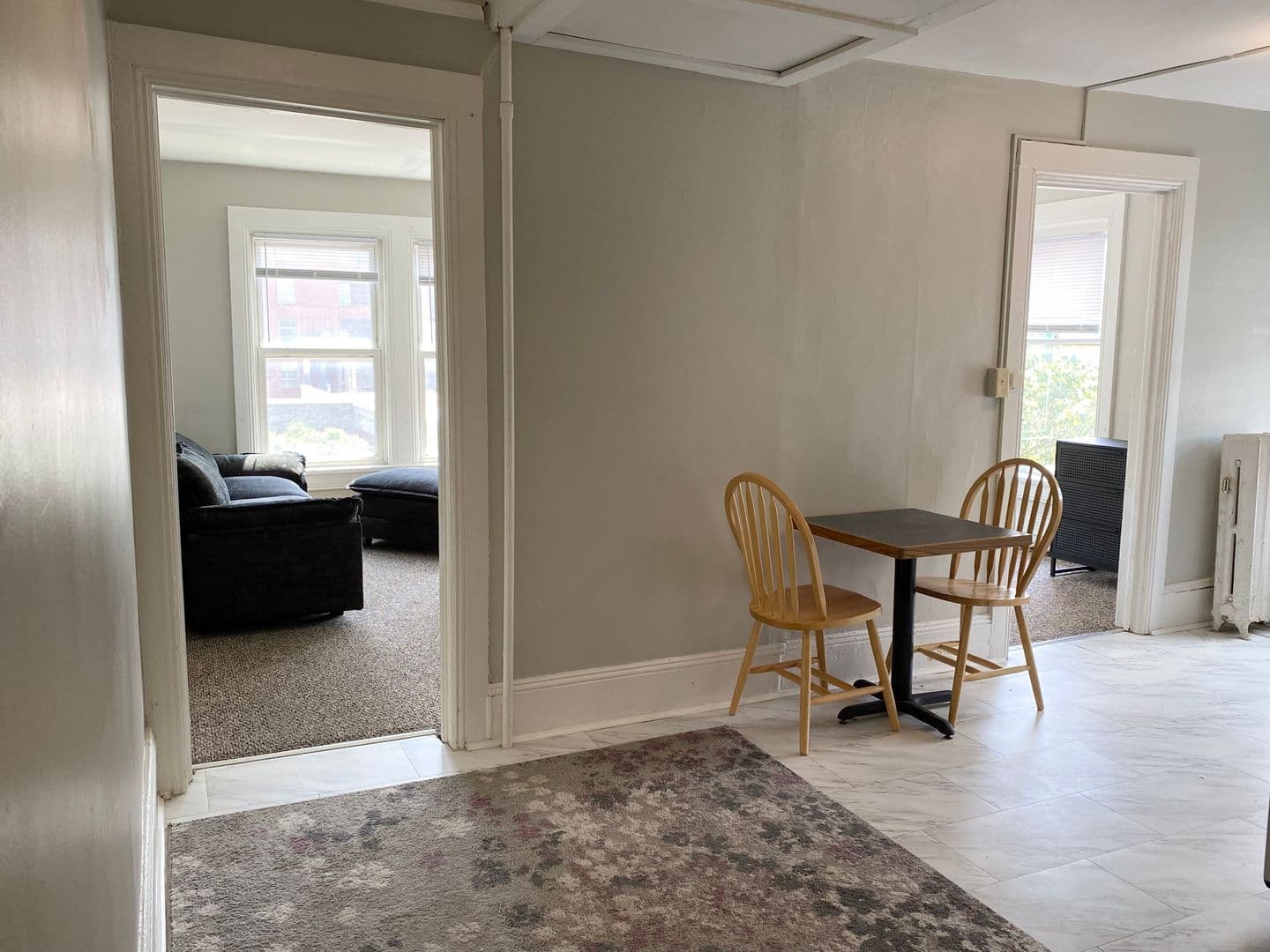 Ithaca Apartment: 308 E Seneca St