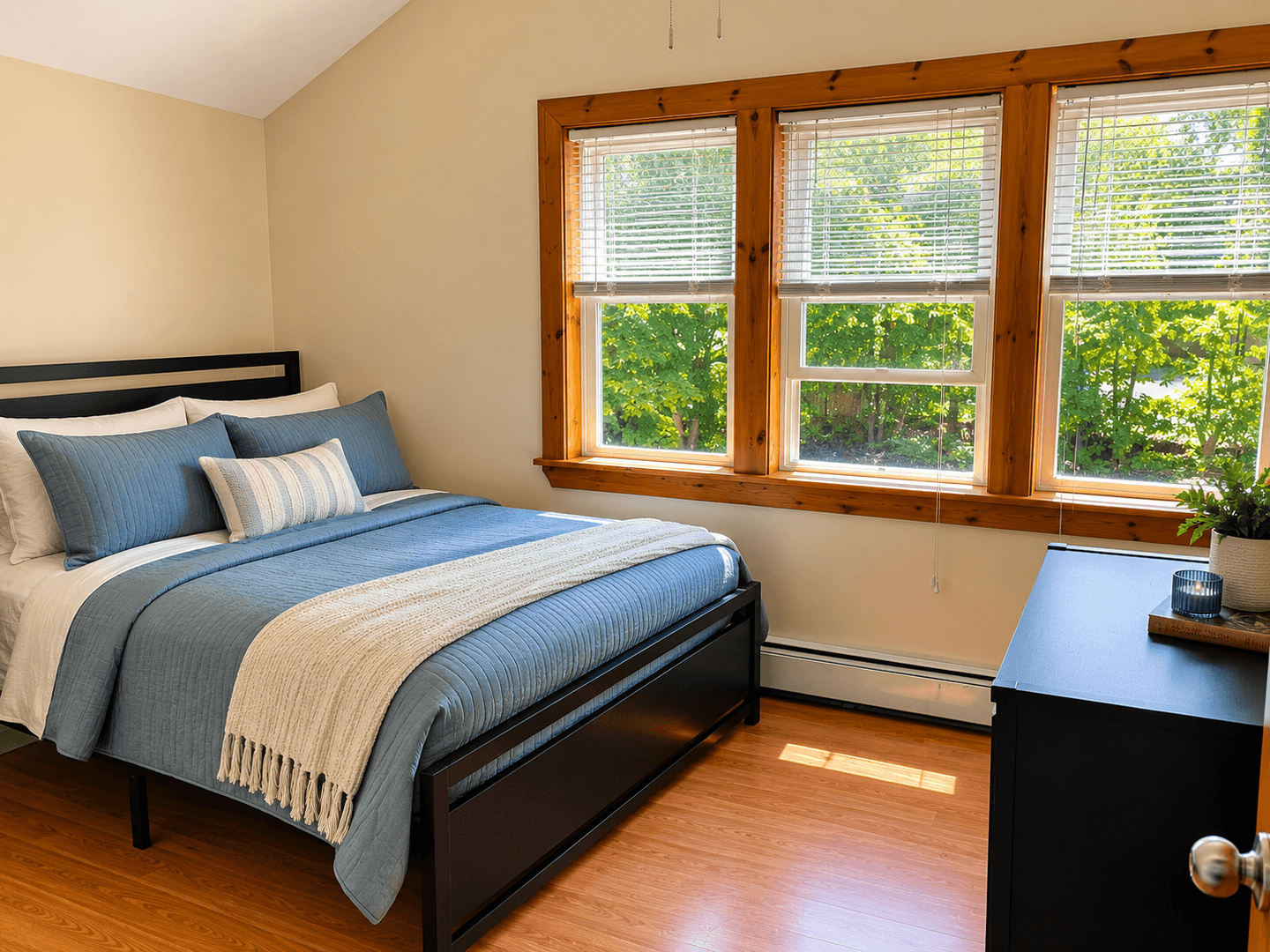 ithaca Apartment: 213-215 Columbia St