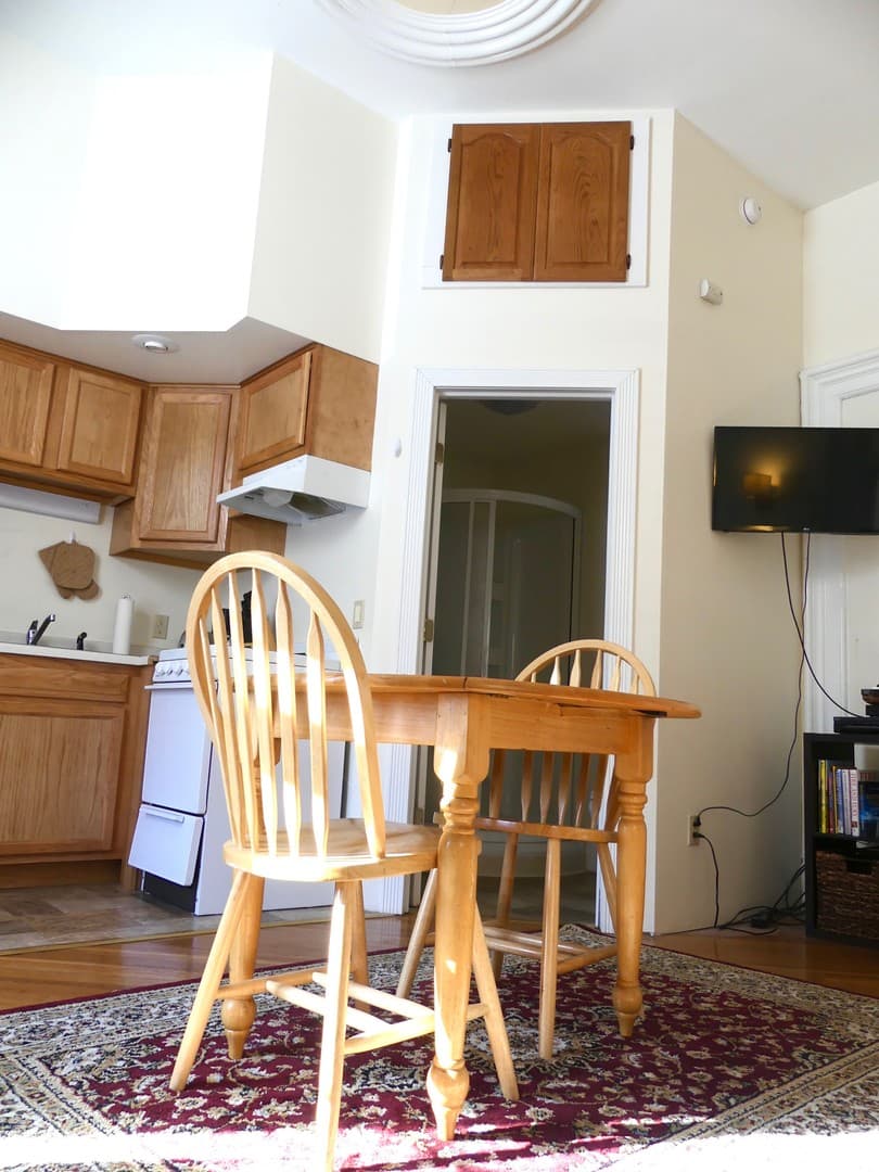 Ithaca Apartment: 232 S Geneva St