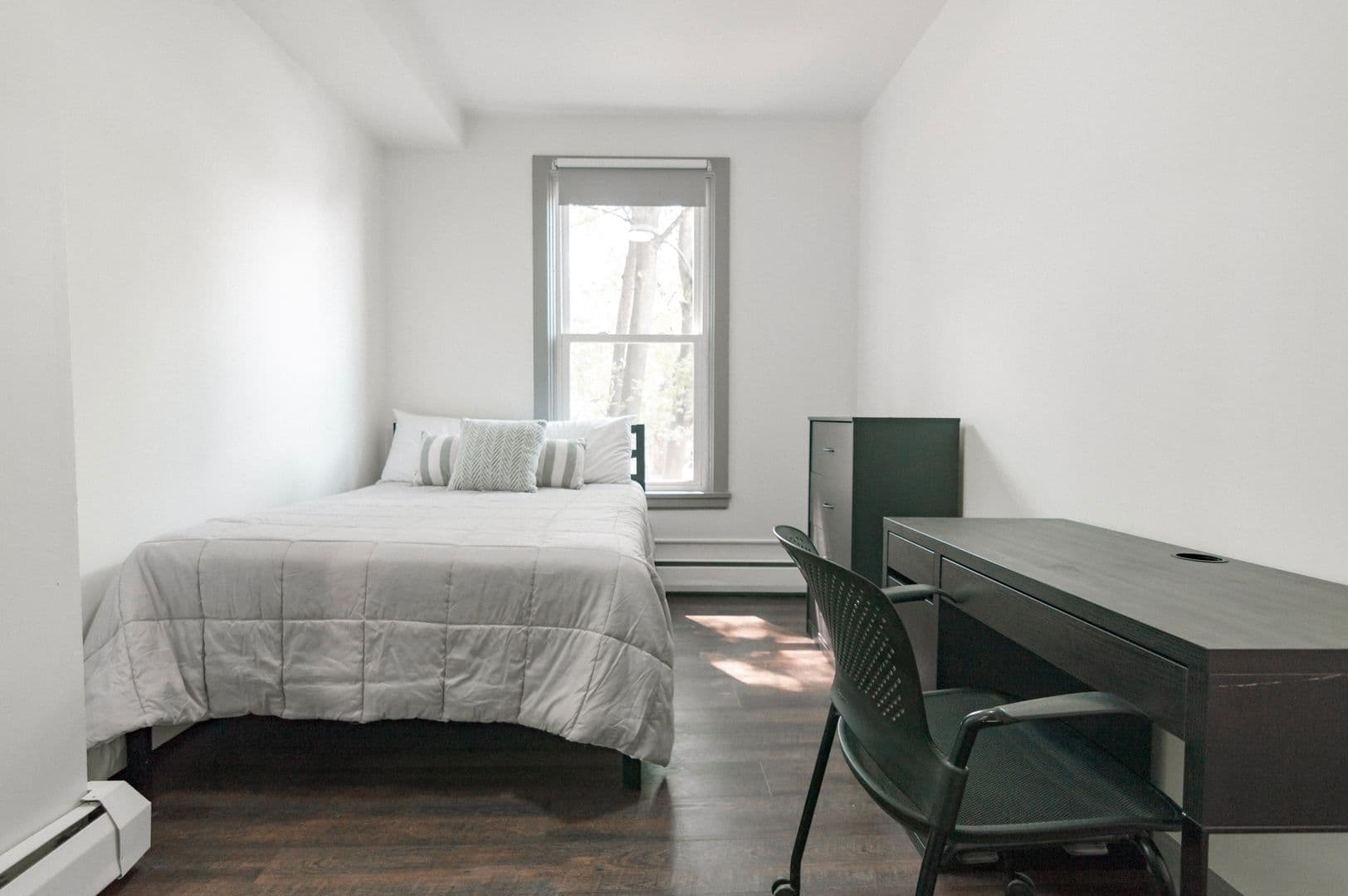 Ithaca Apartment: 110-113 Stewart Ave