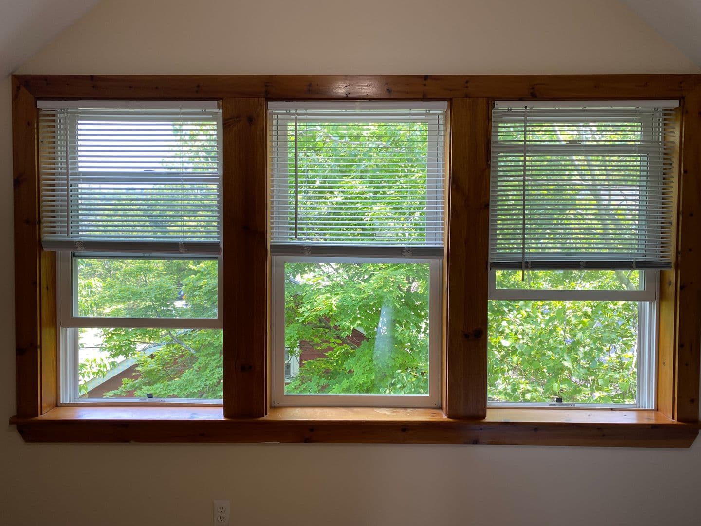 ithaca Apartment: 213-215 Columbia St