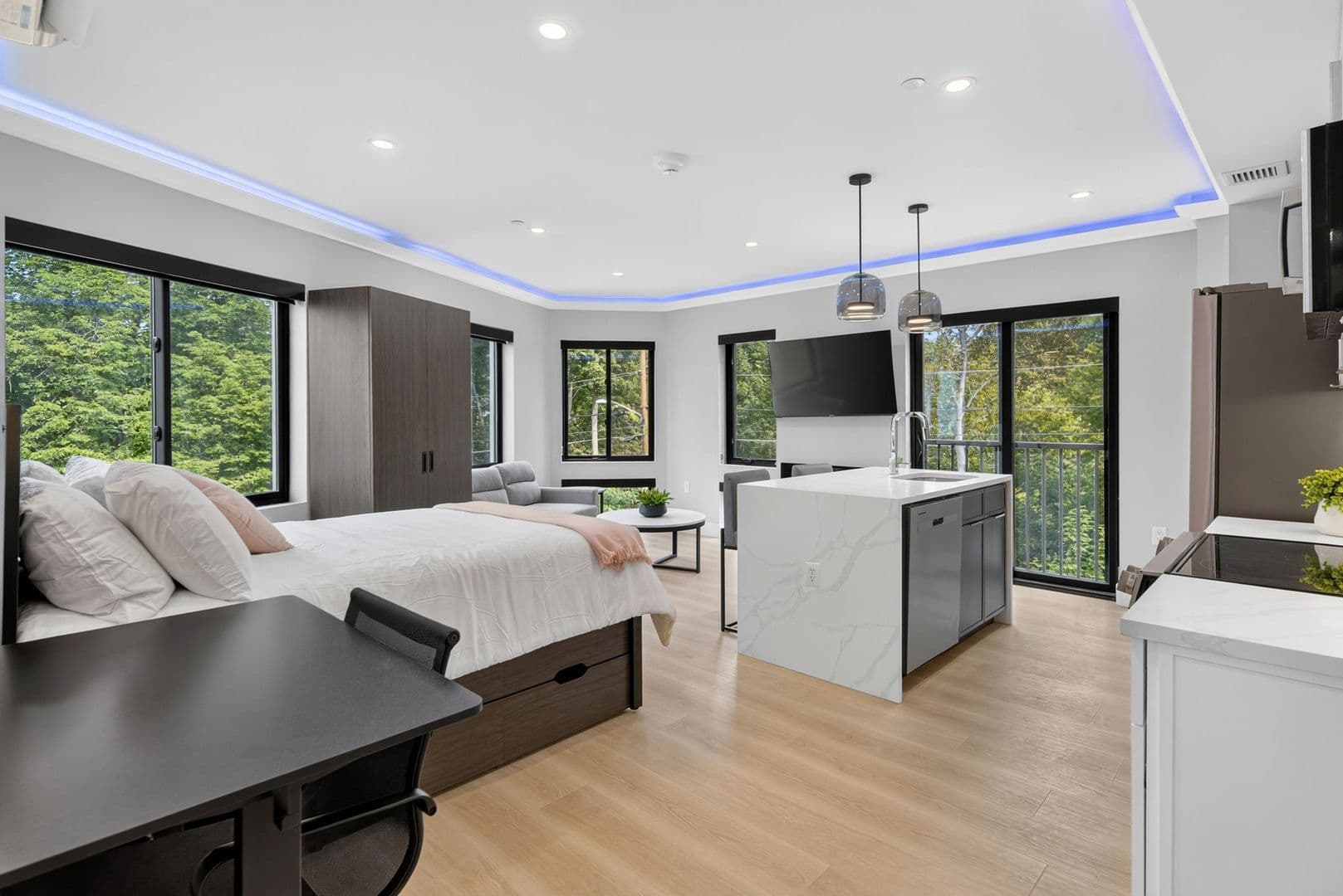 Ithaca Apartment: 201 Oak Avenue