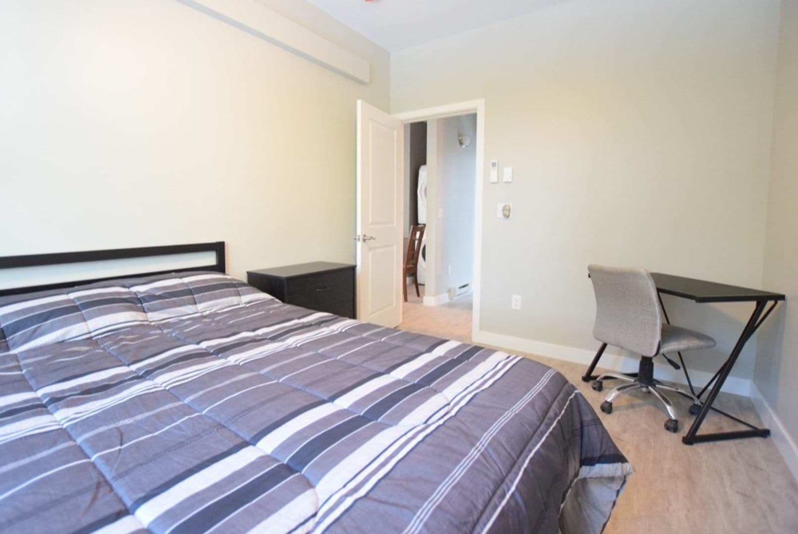 Ithaca Apartment: 217 Columbia St.