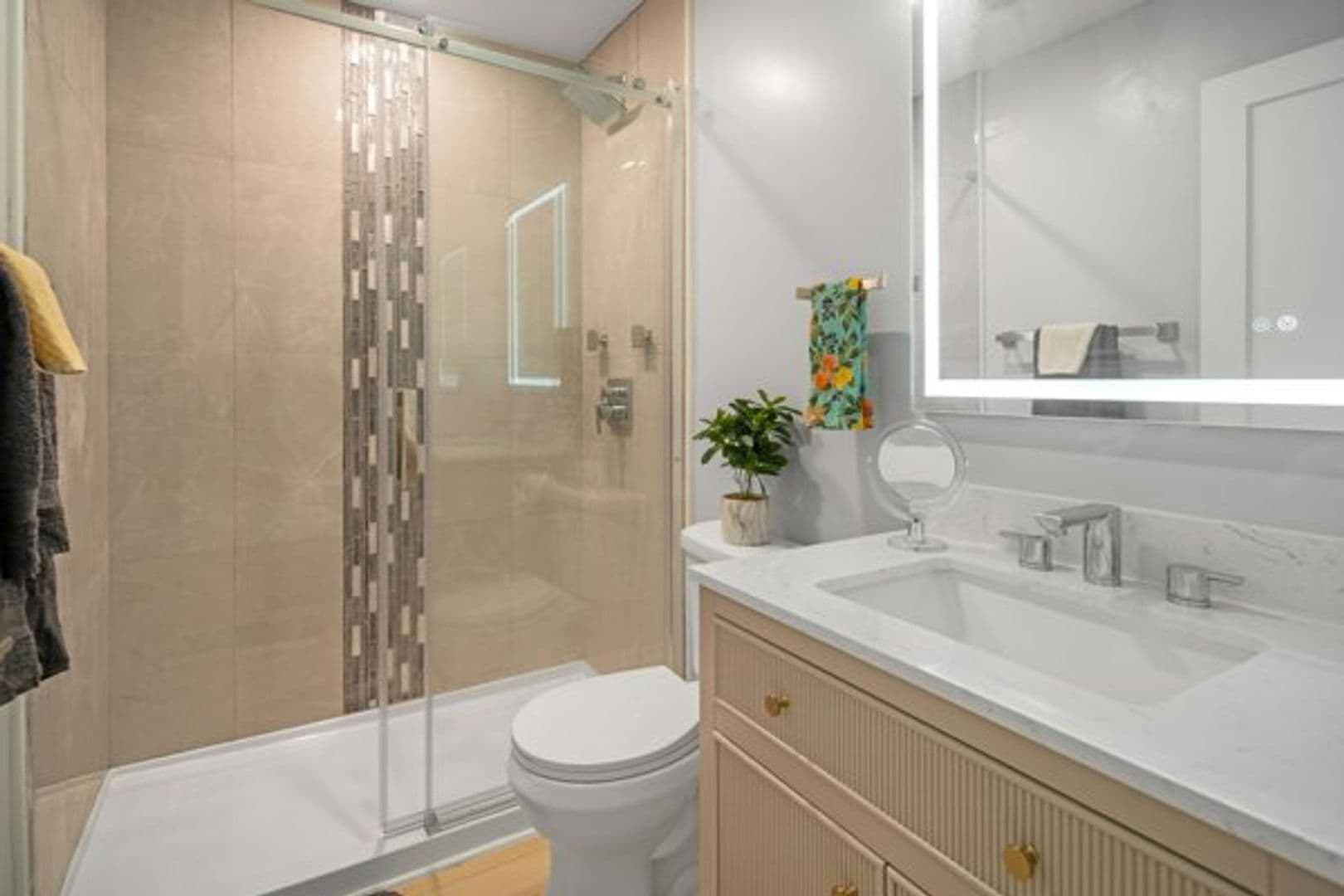 Ithaca Apartment: 200 Highland Ave