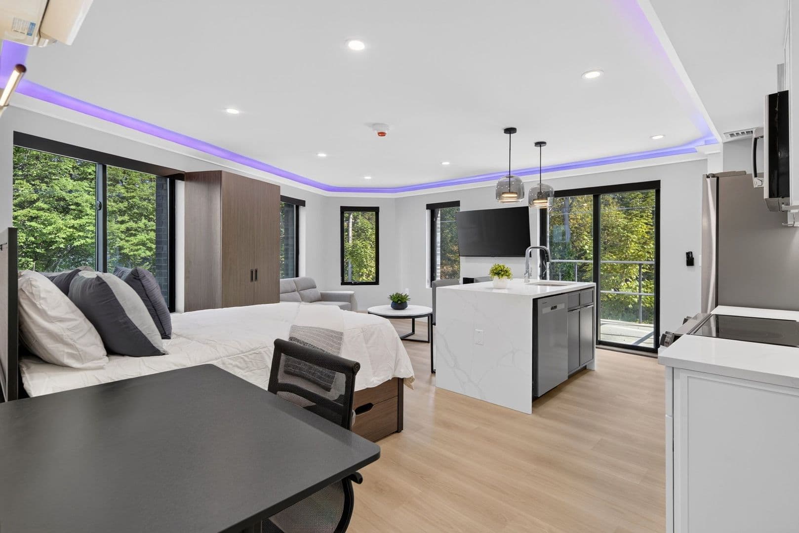 Ithaca Apartment: 201 Oak Avenue