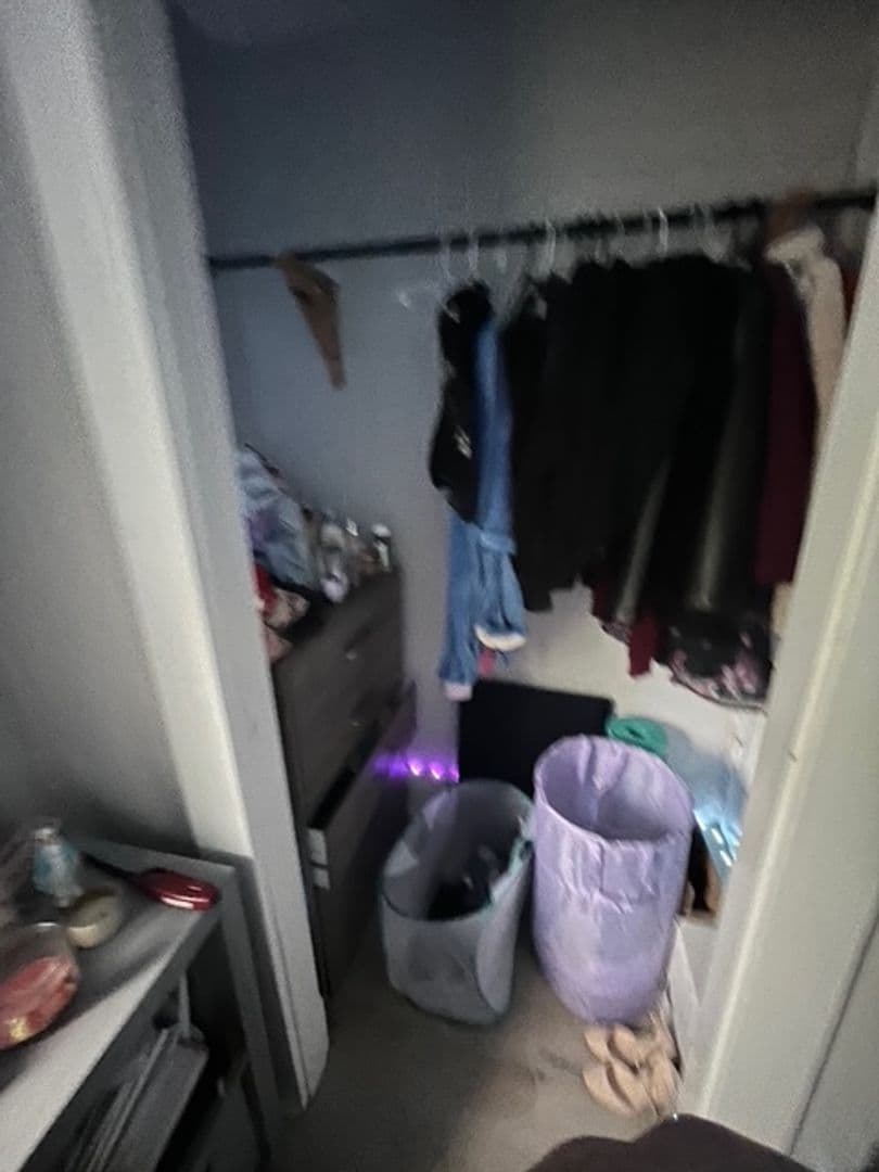 Ithaca Apartment: 414 E Marshall St