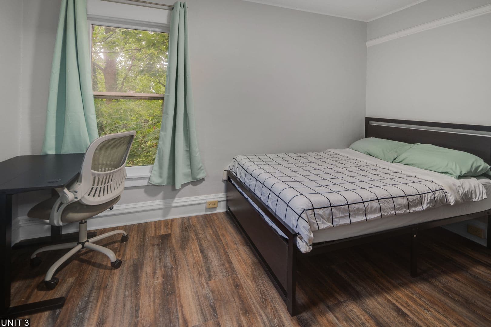 Ithaca Apartment: 109 Williams St