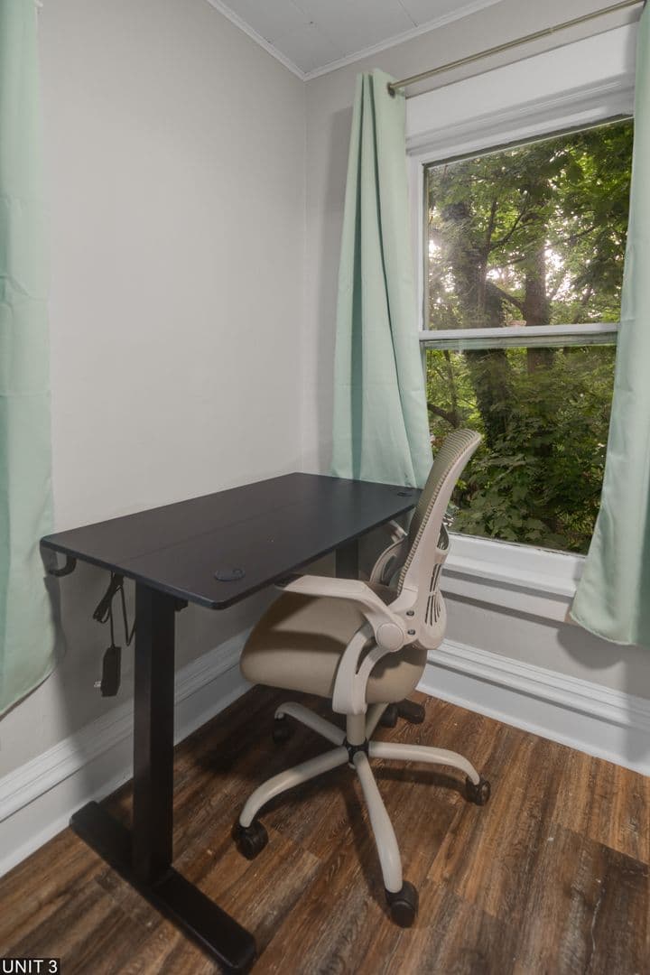 Ithaca Apartment: 109 Williams St