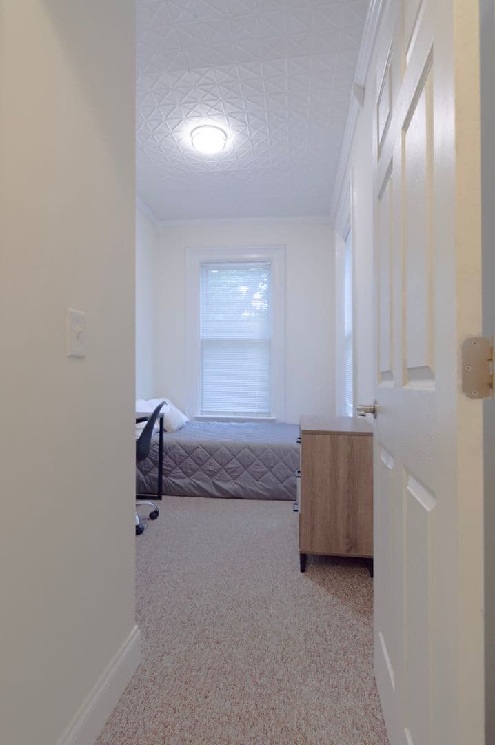 Ithaca Apartment: 232 S Geneva St