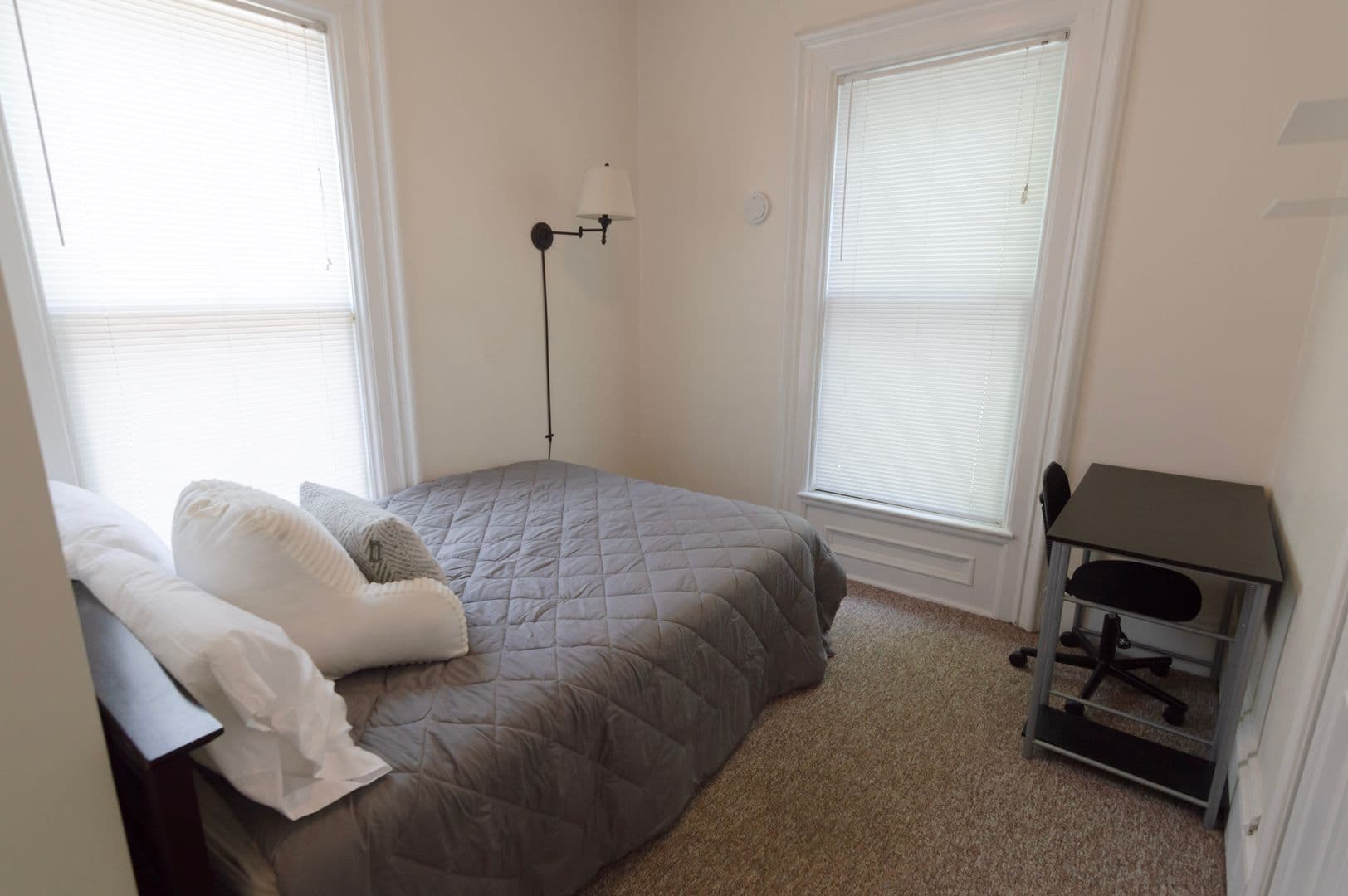 Ithaca Apartment: 232 S Geneva St