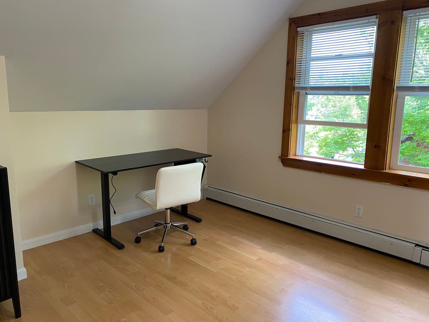 ithaca Apartment: 213-215 Columbia St