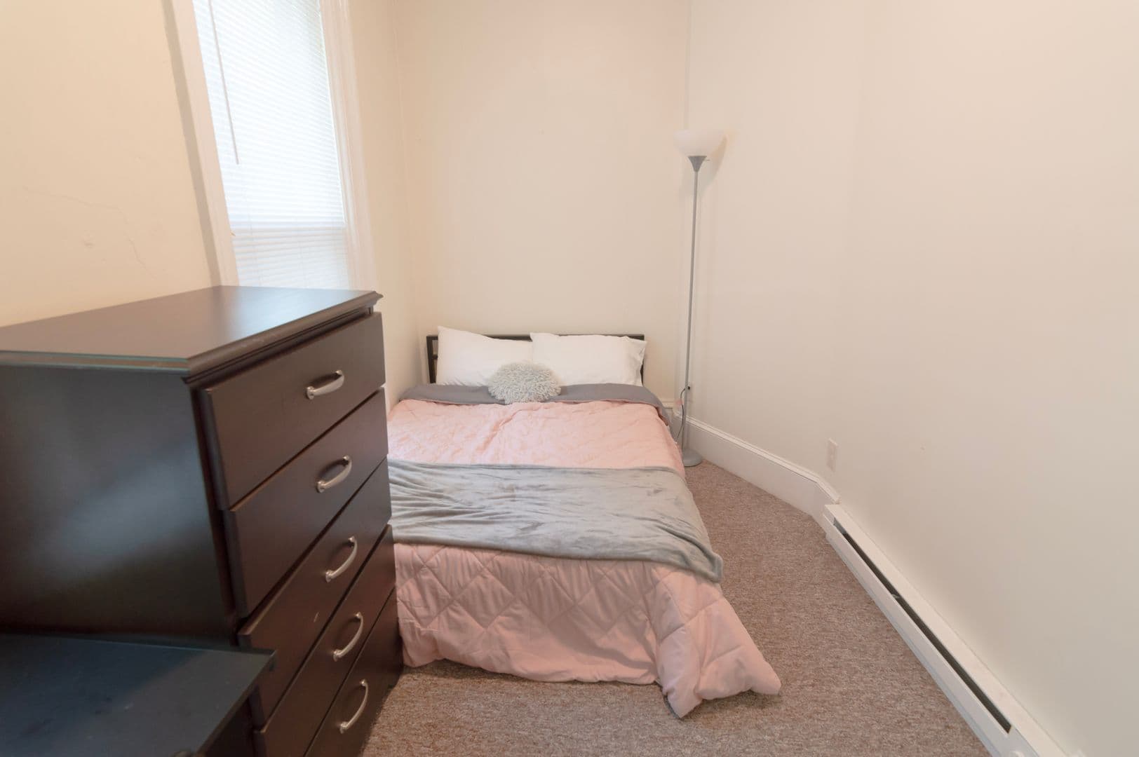 Ithaca Apartment: 232 S Geneva St