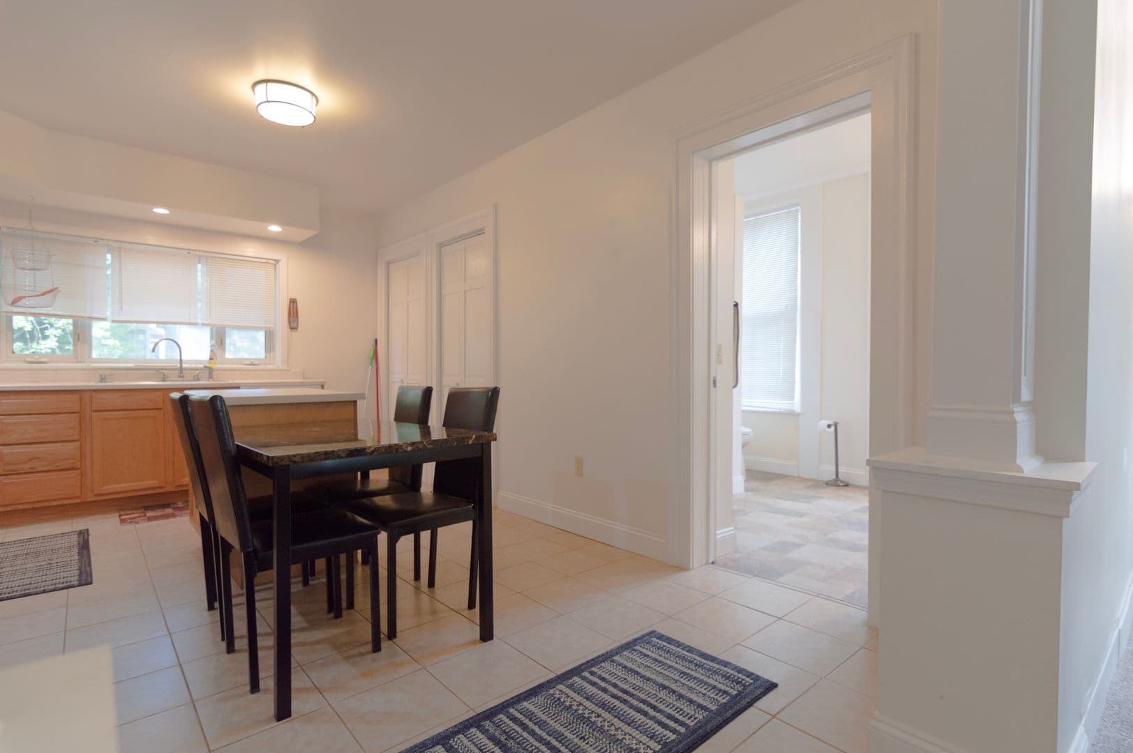 Ithaca Apartment: 232 S Geneva St