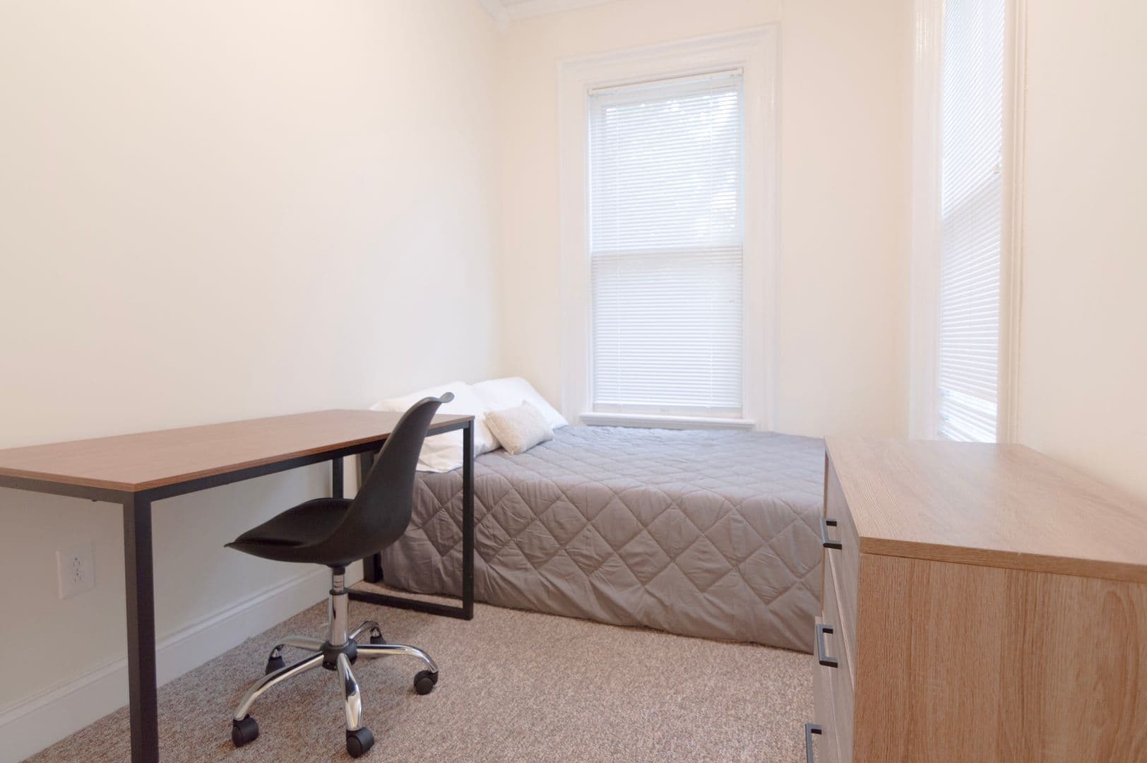 Ithaca Apartment: 232 S Geneva St