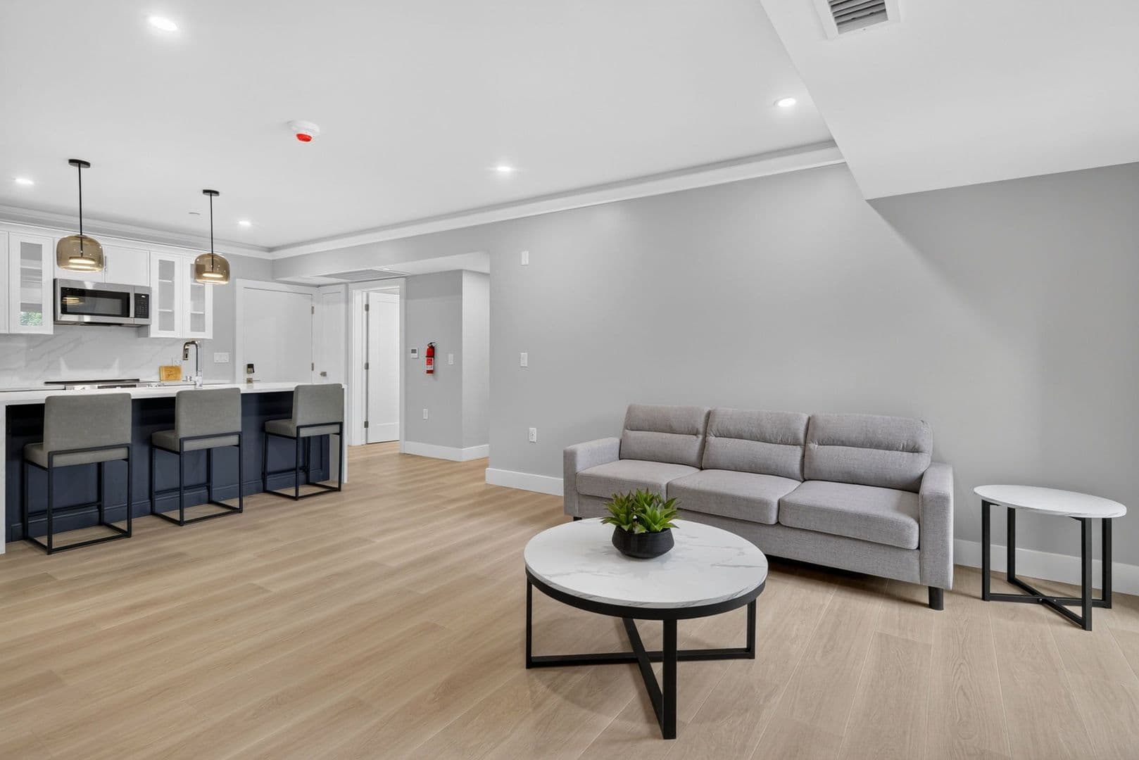 Ithaca Apartment: 201 Oak Avenue