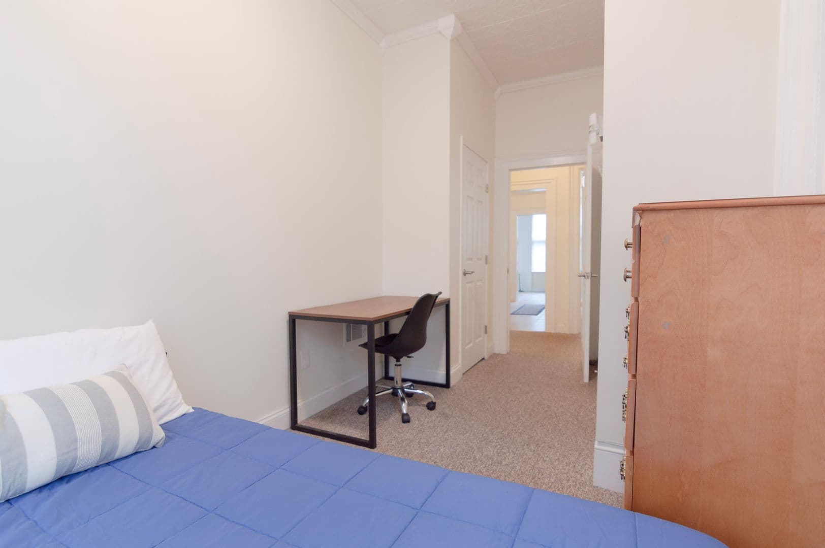 Ithaca Apartment: 232 S Geneva St