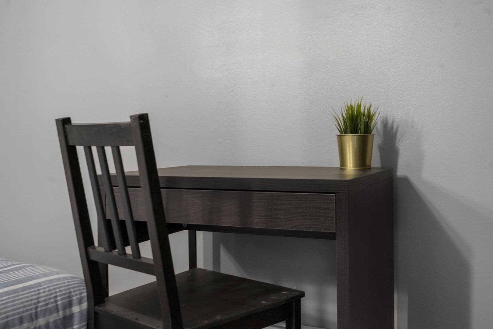 Ithaca Apartment: 518 Linn St