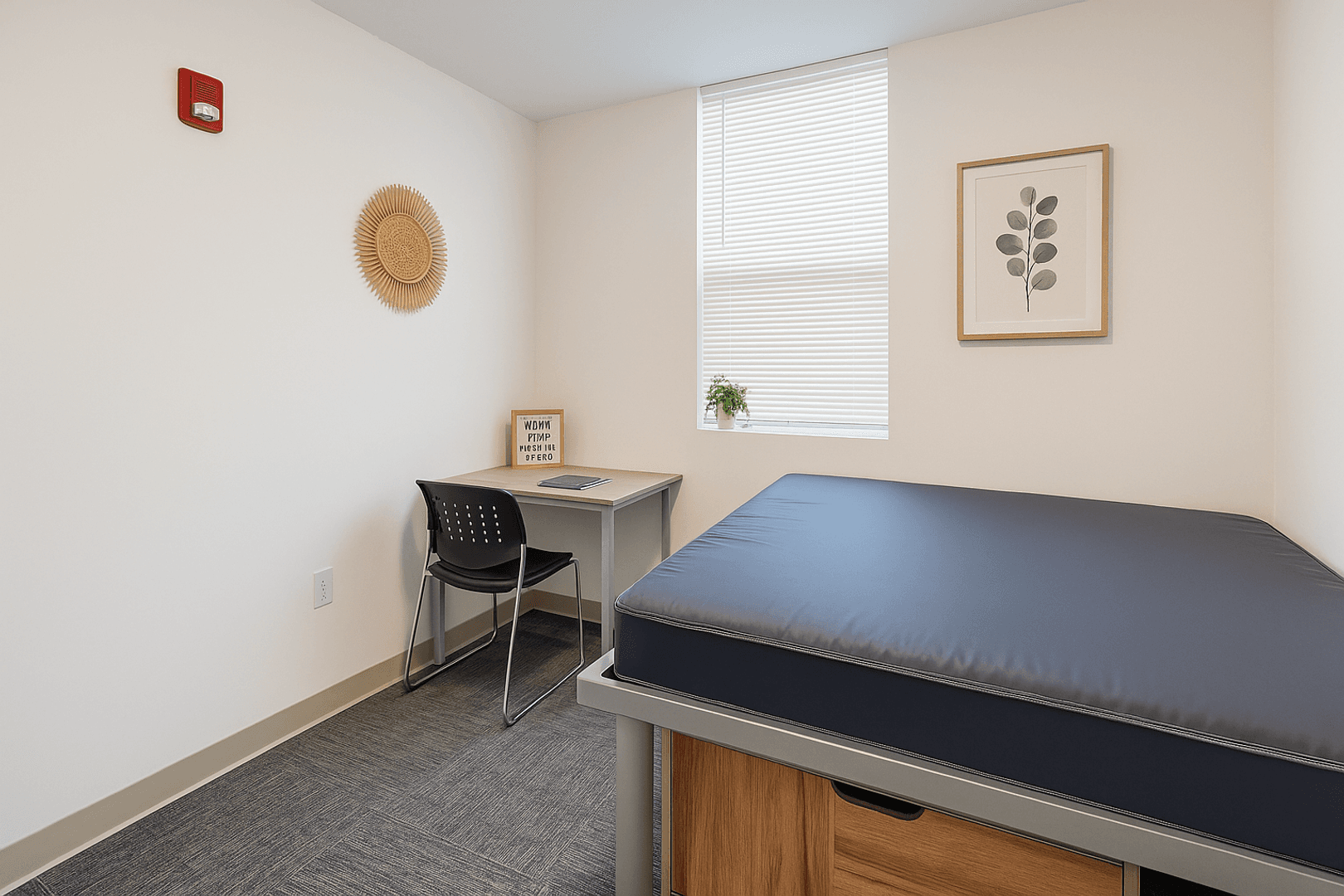 Ithaca Apartment: 815 S Aurora St