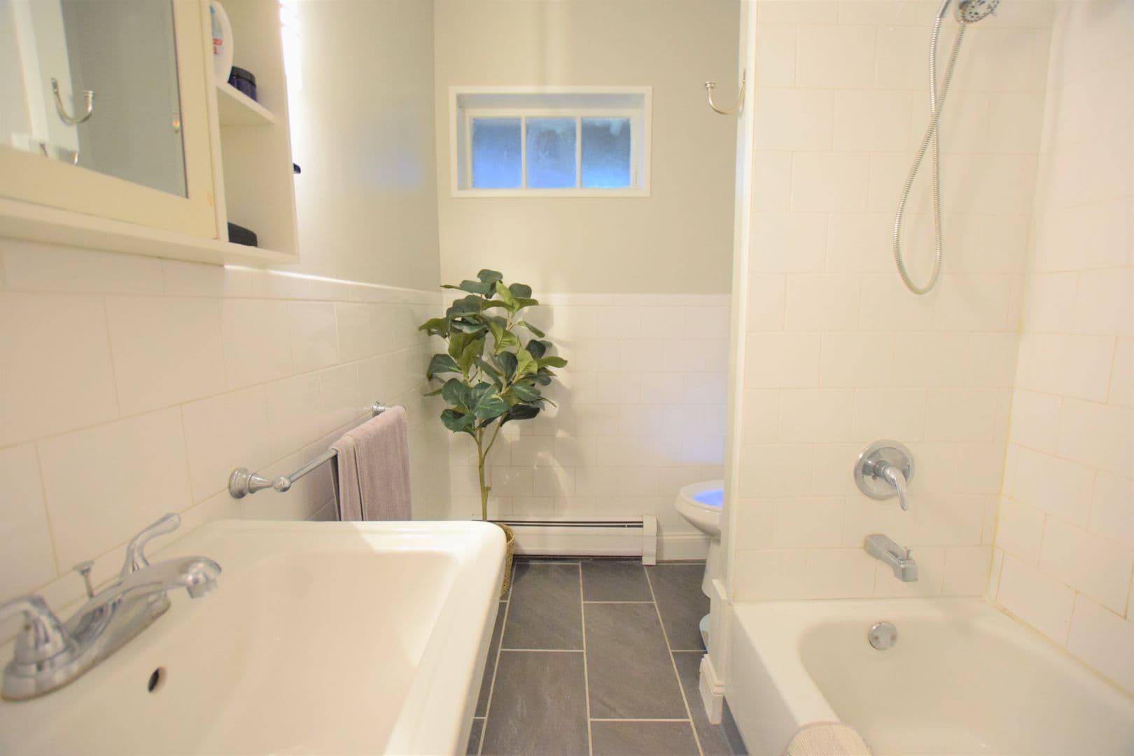 Ithaca Apartment: 609 E State St