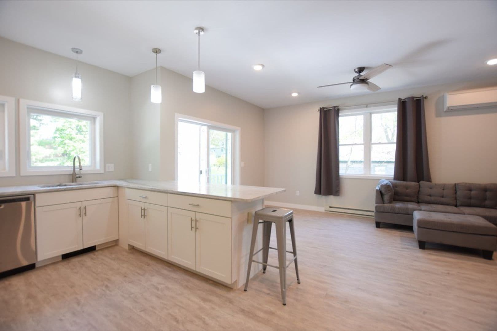 Ithaca Apartment: 217 Columbia St.