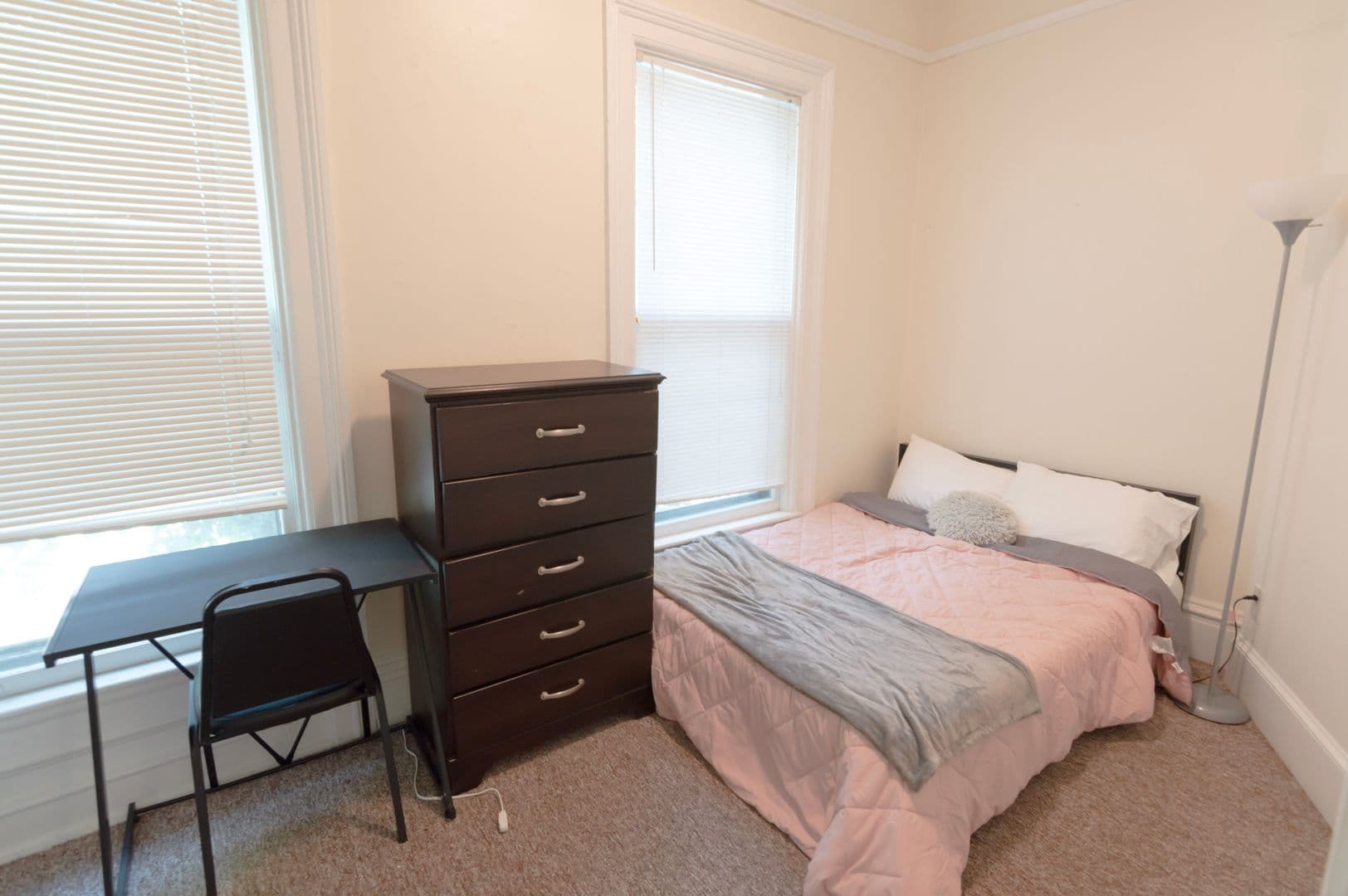 Ithaca Apartment: 232 S Geneva St