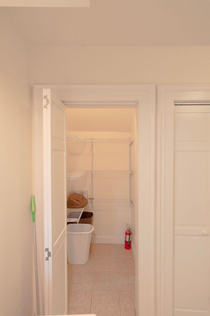 Ithaca Apartment: 232 S Geneva St