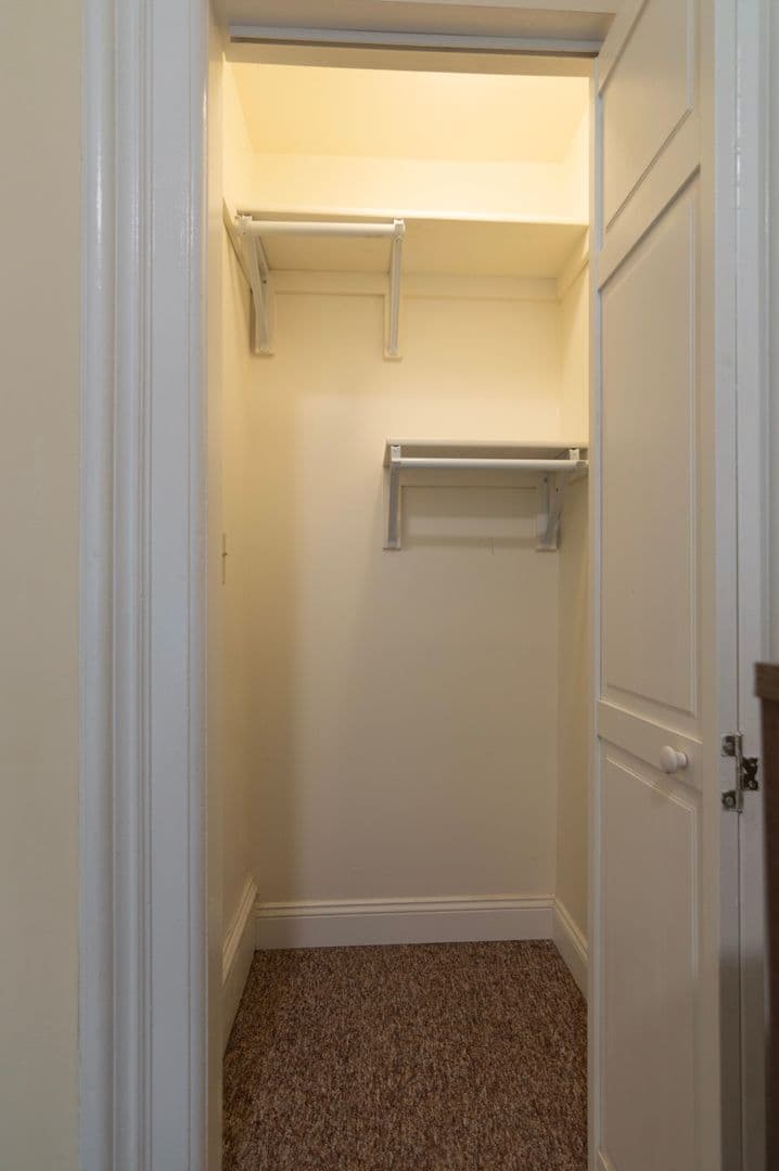 Ithaca Apartment: 232 S Geneva St