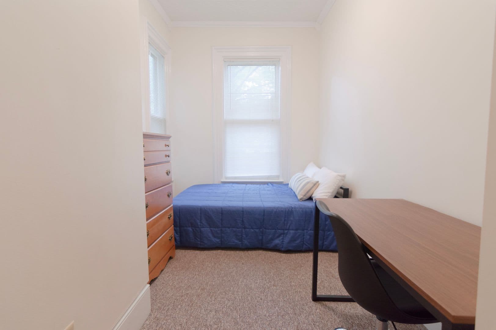 Ithaca Apartment: 232 S Geneva St