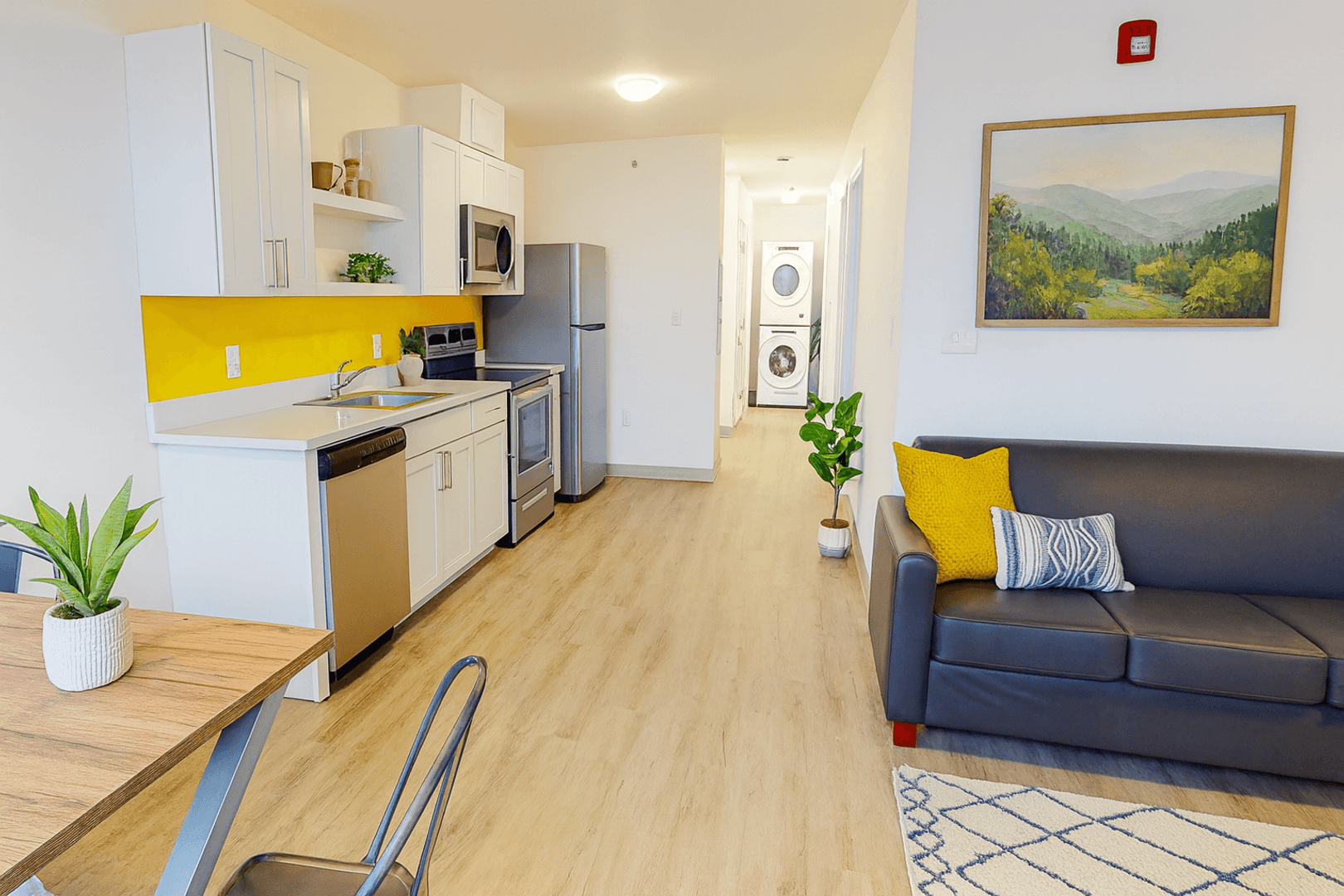 Ithaca Apartment: 815 S Aurora St