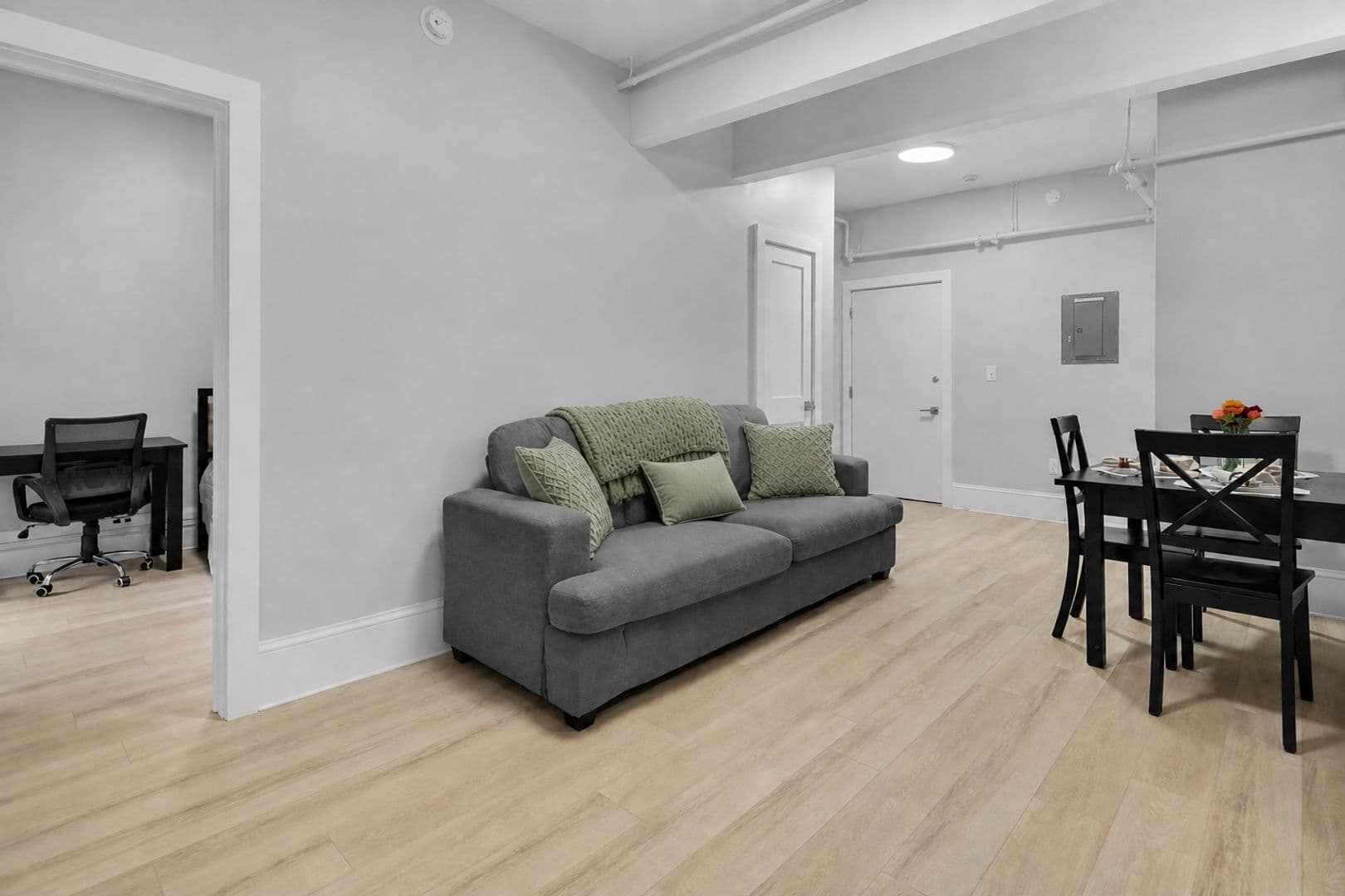 Ithaca Apartment: 210 Delaware Ave