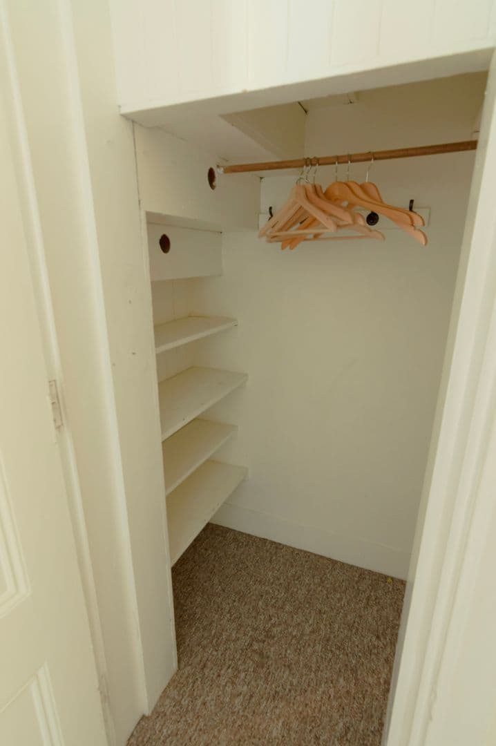 Ithaca Apartment: 232 S Geneva St