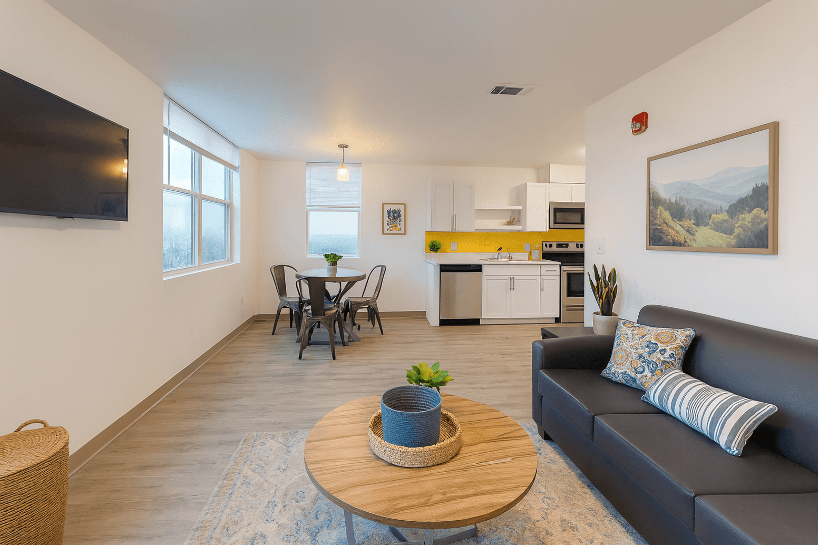 Ithaca Apartment: 815 S Aurora St