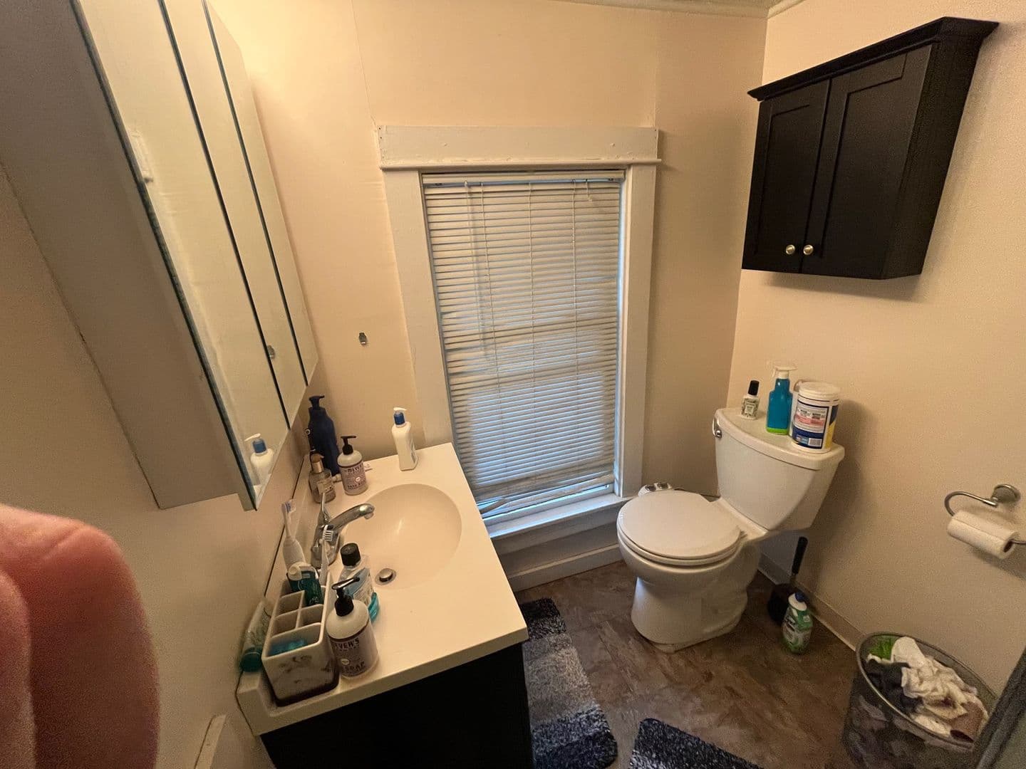 Ithaca Apartment: 414 E Marshall St