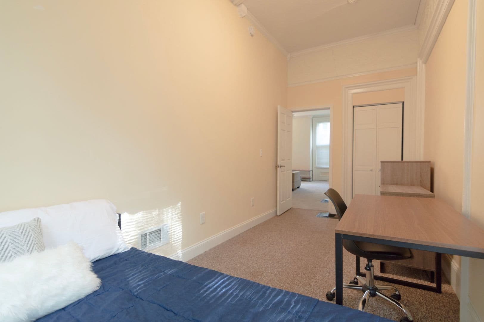 Ithaca Apartment: 232 S Geneva St