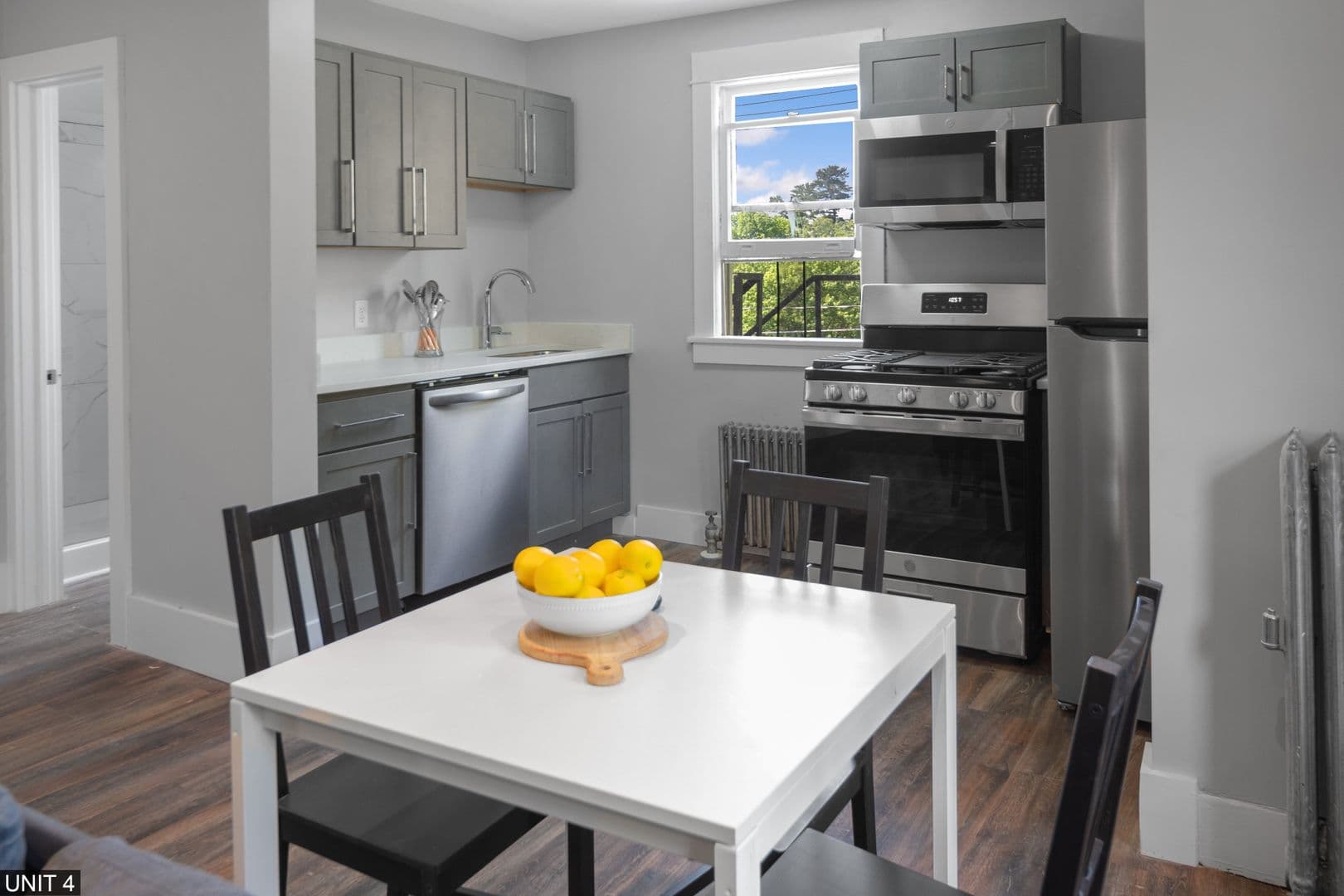 Ithaca Apartment: 109 Williams St