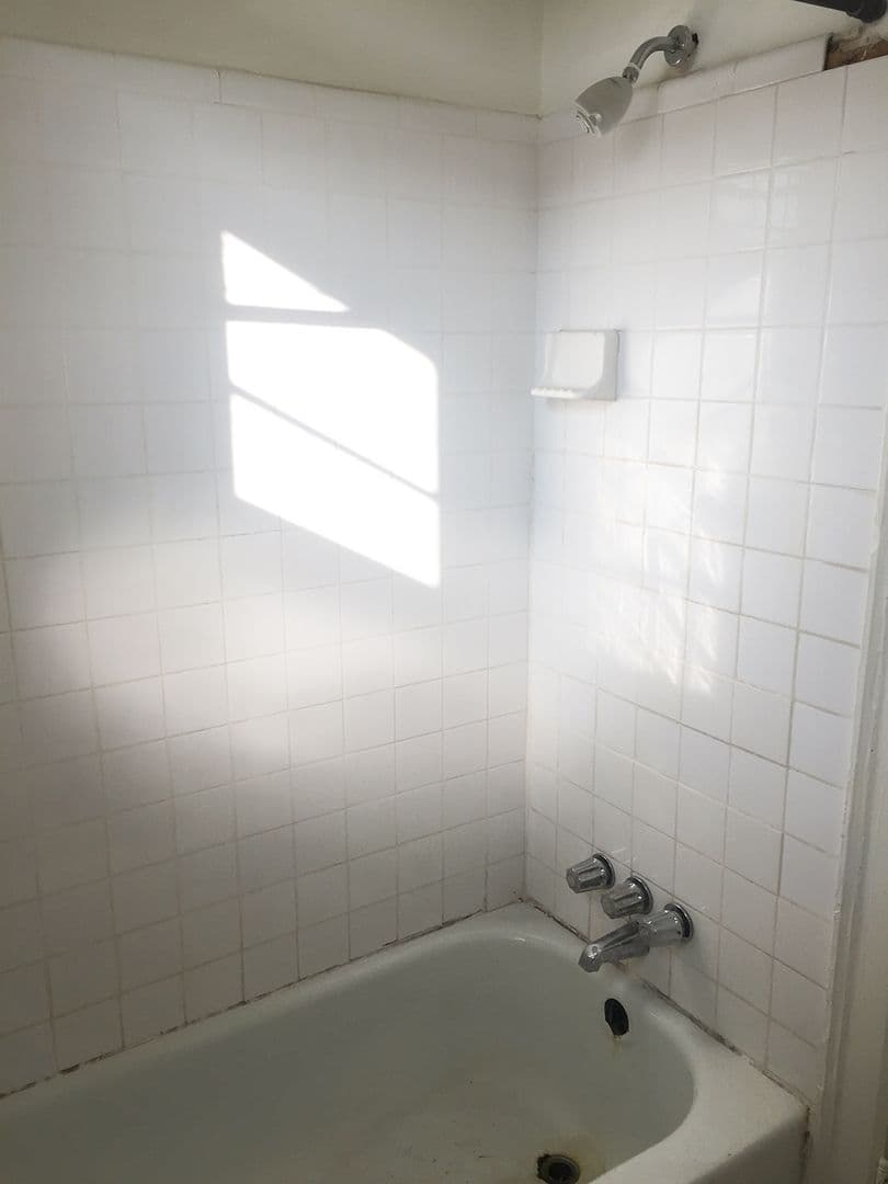 Detroit Apartment: 127 Seward Ave