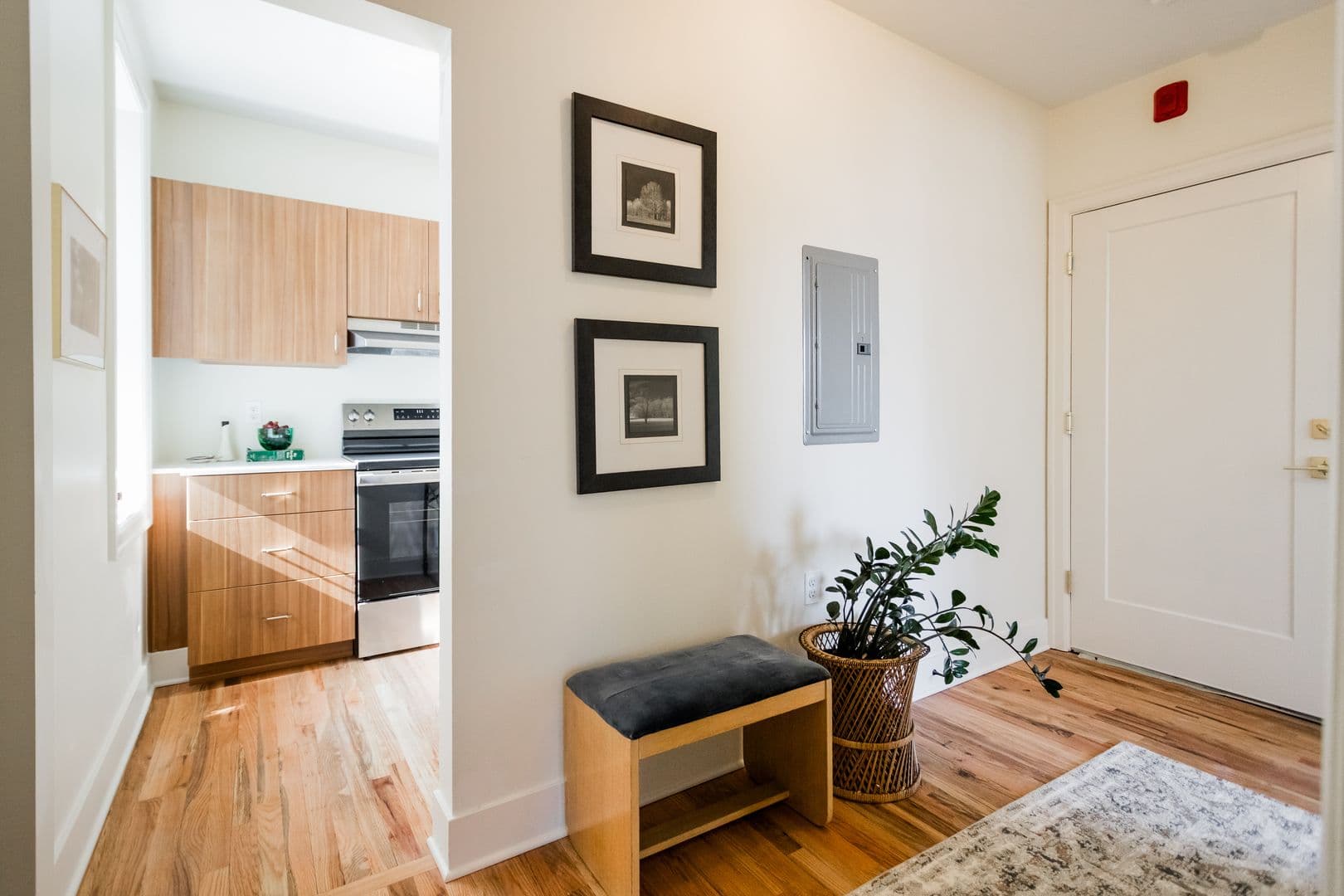 Detroit Apartment: 6465 Sterling St
