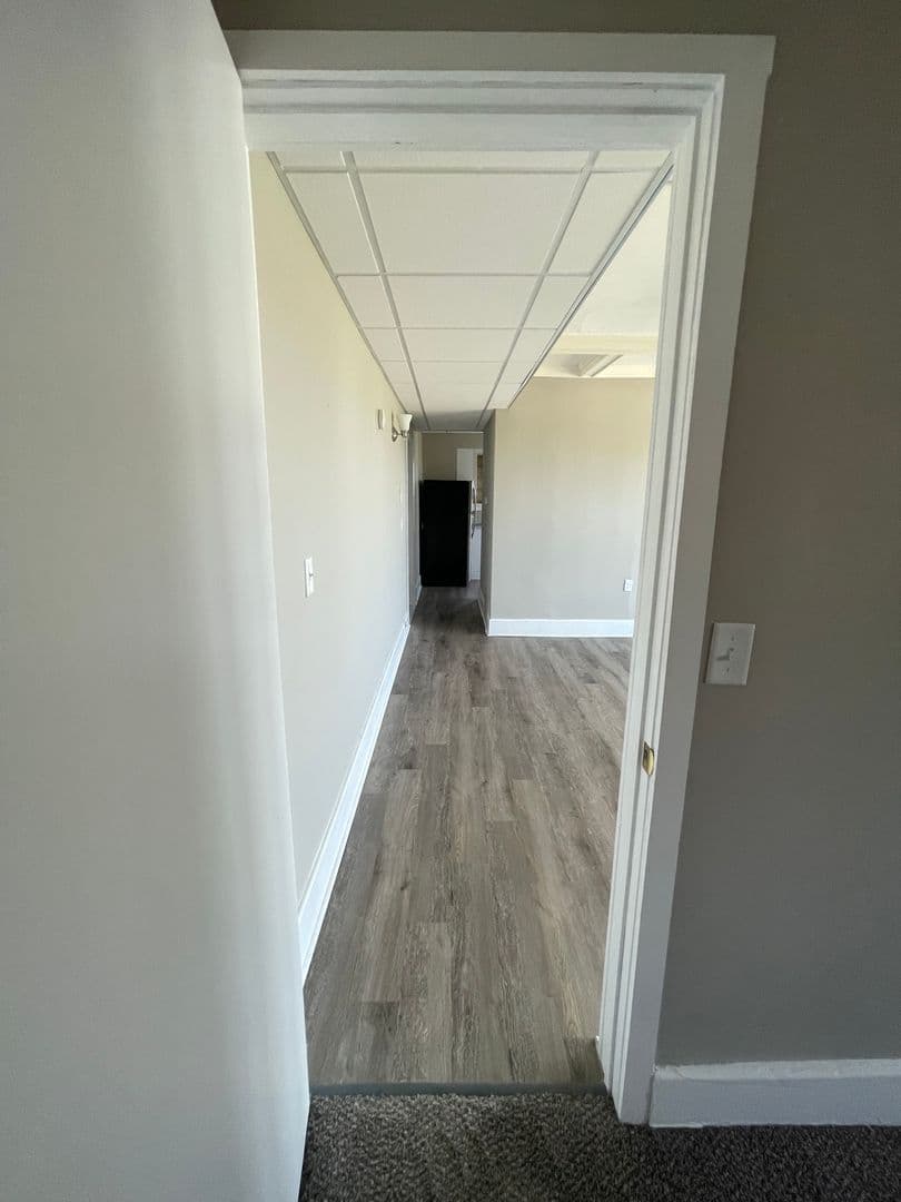 Detroit Apartment: 73 East Palmer