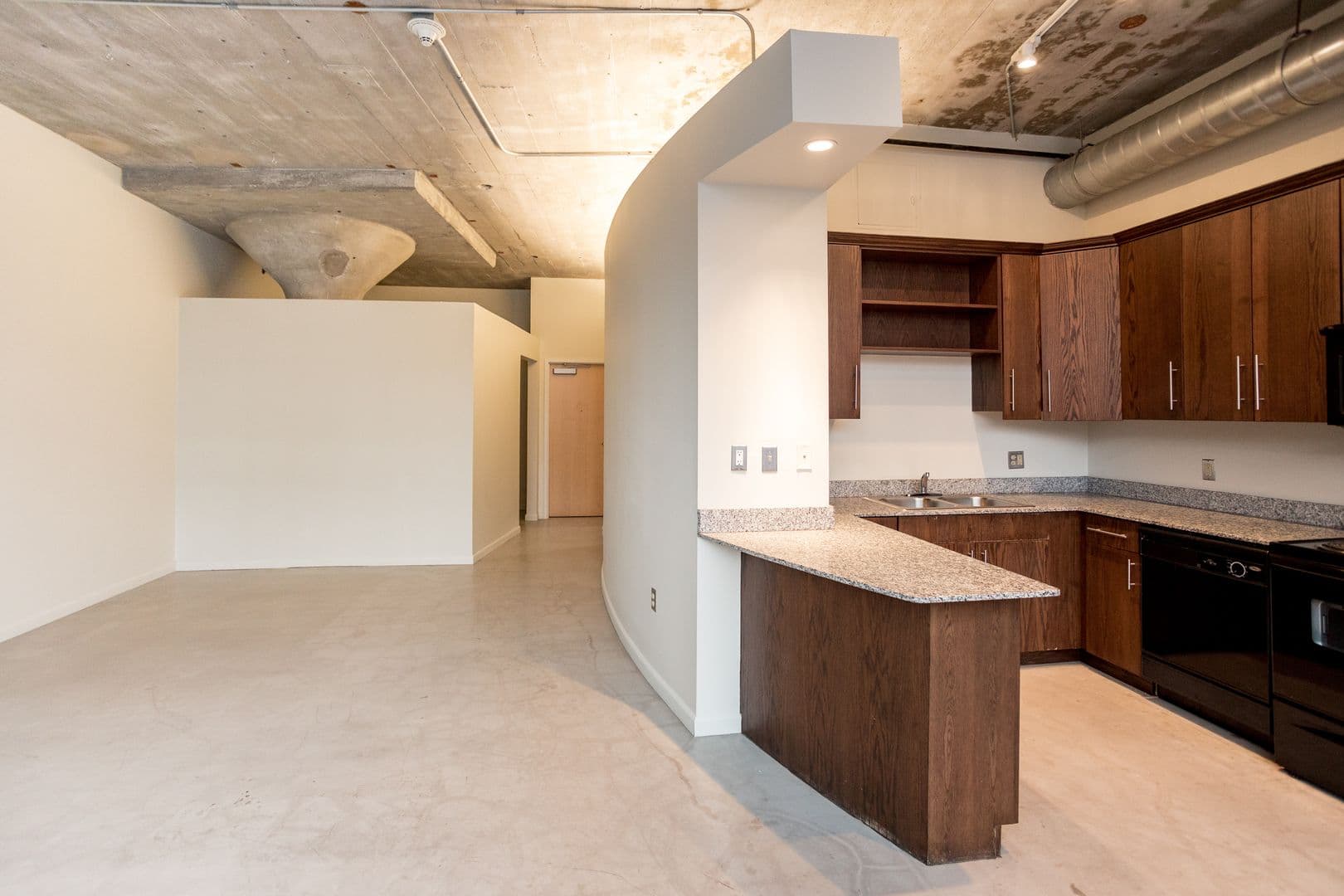Detroit Apartment: 41 Burroughs