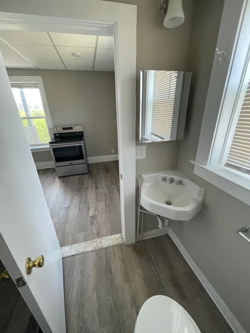 Detroit Apartment: 73 East Palmer