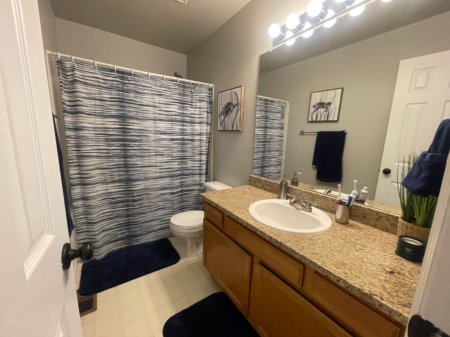 Highlands Ranch House: 10181 Woodrose Court