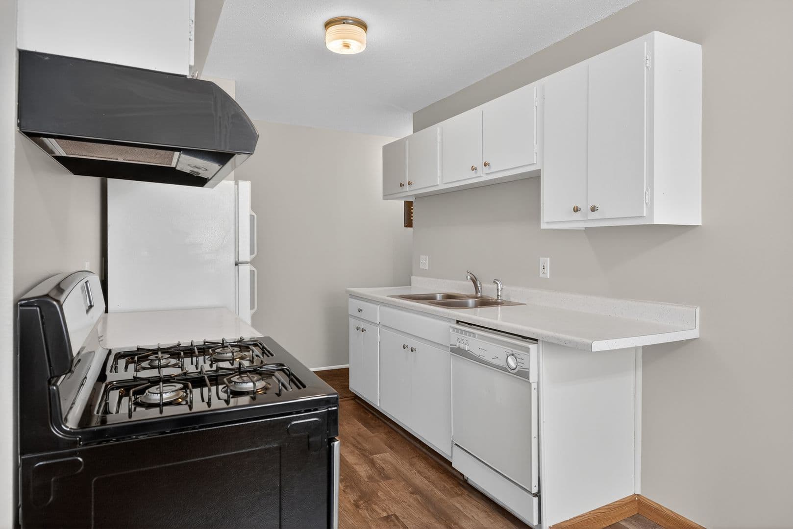 Hopkins Apartment: 105 13th Ave S