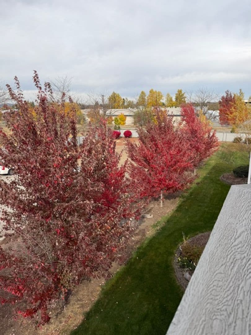 Spokane Valley Apartment: Fox Court Apartments